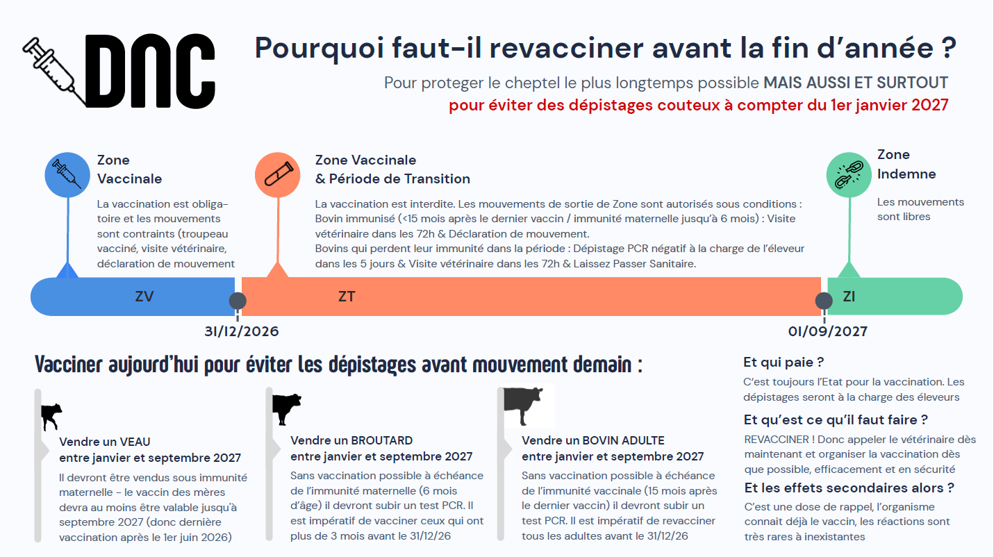 DNC Pourquoi faut-il revacciner avant la fin dannée 