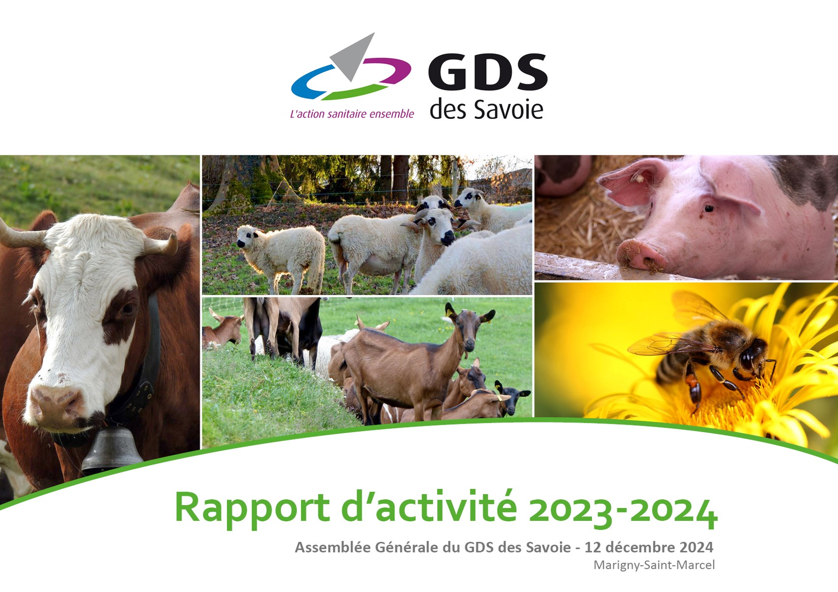 Rapport dactivité AG 2023_1ère page