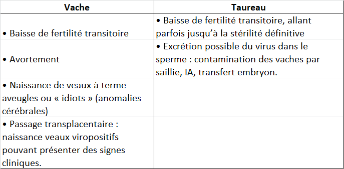 Symptome_bovins_repro