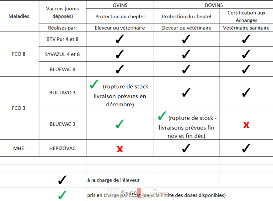 vaccin FCO-MHE - poit à janvier 2025