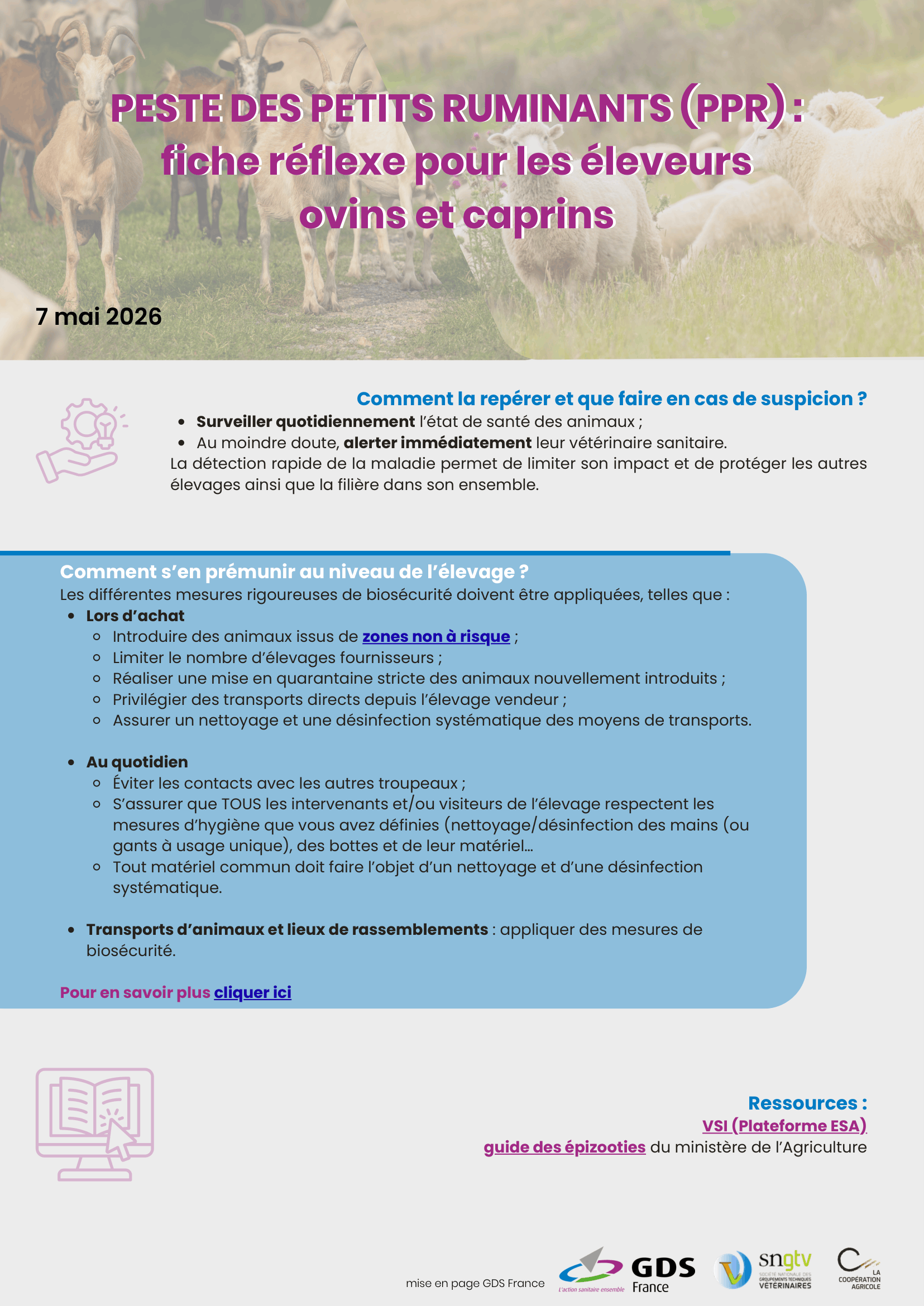 Peste-des-Petits-Ruminants-PPR-2